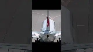 stabilizer and elevator check