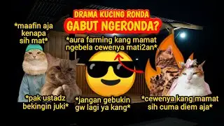 DRAMA KUCING RONDA : AURA FARMING KANG MAMAT MUNCUL⁉️ #kucing #memes #memekucing #cat #aurafarming 