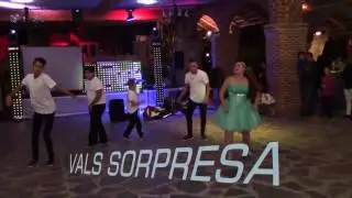 XV AÑOS MUESTRA