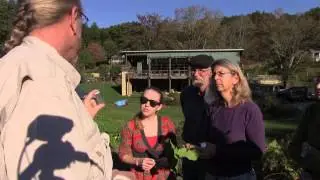 Farmscaping with Dr. McBug 9