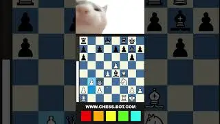 Next Chess Move 💥