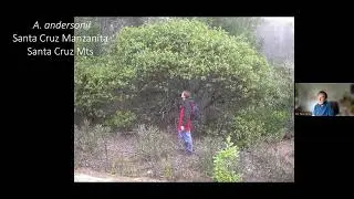 Manzanitas of the Central Coast With Dr. Tom Parker