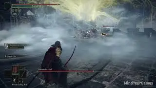 Elden Ring Commander Niall Cheese (1080p60FPS)