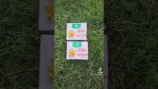 ДЖЕРЕЛО ПРИРОДНОГО ІНУЛІНУ З СЕЛЕНОМ ДЛЯ ЗНИЖЕННЯ РИЗИКУ УСКЛАДНЕНЬ ПРИ ЦУКРОВОМУ ДІАБЕТІ