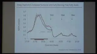 Esra Tasali (Univ of Chicago) - Sleep and metabolic health