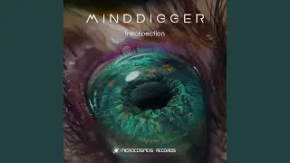 Introspection Pulsarum Remix
