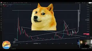 Dogecoin выше $1,50 или $0, как и почему #DOGE