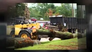 Cheap Junk Removal Services