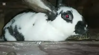 Dzisiaj wieczorny odcinek i mam kolejny wykot...
