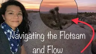 Brooklyn brunch + Route 66 Needles, California to Joshua Tree | road trip vlog