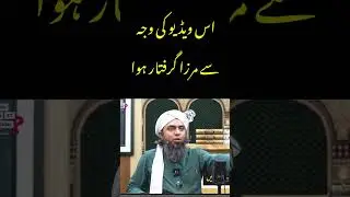 engineer Muhammad Ali mirza arrest video