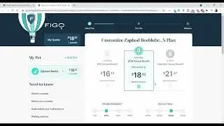 Figo Pet Insurance Review (We Tried It)