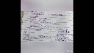 Types of DNA polymerase.