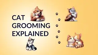 Cat grooming explained : Understanding why cats lick