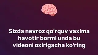 Savol javoblar onlayn chat jonli efir videosi #nevroz