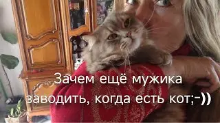 Наколдовала жильцов. Наши туманы. Набрала хлеба.