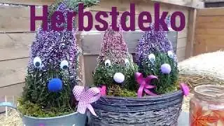 Herbstdeko Heide Wichtel 😍