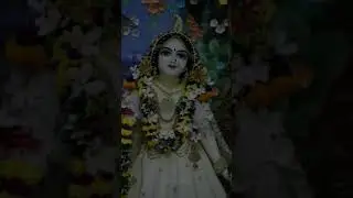 when I see radha rani in white poshaak😭🤍🦚#krishnadevotion #radhakrishnadevotee #radharanistatus