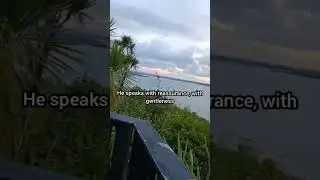A gentle reminder for heavy hearts.. 🤍|| #QuranShorts #IslamicReminder #Ayah #Peace #Faith
