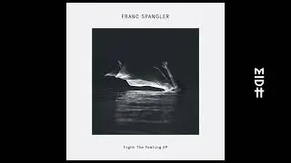 Franc Spangler  - Dance The Funk