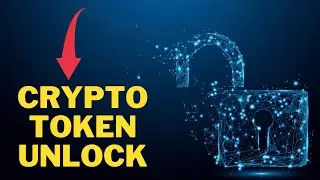 Tokenomics And Token unlock Period