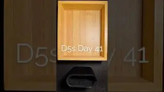 D5s Day 41