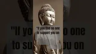 Buddha Quote: If you find no one... #buddha #buddhaquotes
