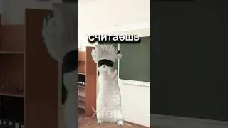 Котик нашол лишний палец😱 #youtubeshorts #нарезки #cat #эракотов