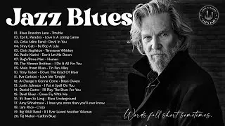 Top 100 Best Blues Songs | The Best Blues Music Of All Time | Relaxing Blues Music  Vol.4