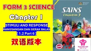 Form 3 Science Chapter 1 | STIMULI AND RESPONSE  中文讲解 | KSSM Exam Tips【Part 1.2】PART 6