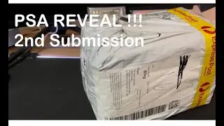 PSA Reveal second Submission  #unboxing #PSA #psagraded #nbatradingcards