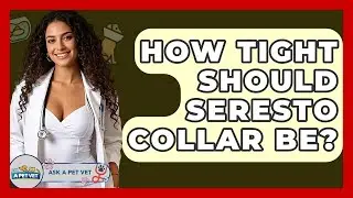 How Tight Should Seresto Collar Be? - Ask A Pet Vet