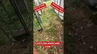 WOW DANGEROUS ⚡️ ELECTRICAL LINES DOWN AND DOG POOP 💩 EVERYWHERE HOW MUCH WOULD YOU CHARGE ?