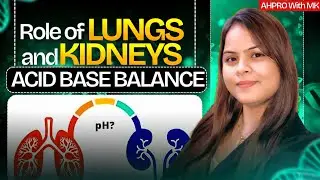 Acid&ndash;Base Balance in the Human Body | Simple Explanation