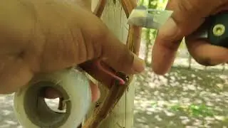 46- Como fazer borbulha em videira