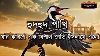 হুদহুদ পাখির জ্ঞানের বিচক্ষনতার কারণে এক বিশাল জাতি ইসলামের পথে এলো। #allah #muhammad #quran #dua
