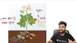 Most Important topic of biology for NDA|Biology for NDA2021|nda biology previous year question paper