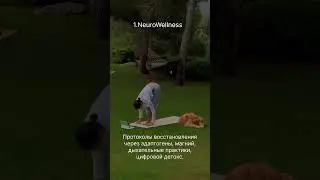 5 wellness-трендов, которые меняют правила игры 🌱