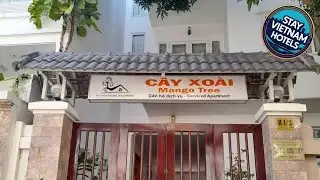 Mango Tree | Vung Tau, Vietnam | Hotel Review 🏩
