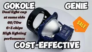 GOKOLE LIGHTING Genie E481 cost-effective dual light cup in the same side