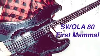 SWOLA80  -Power Metal-