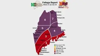 Foliage season is coming to a close with release of final report for 2025