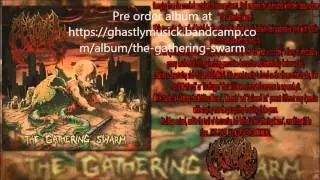 Atoll - Among the Writhing Masses( 