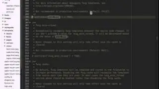 drupaltwig theme debug