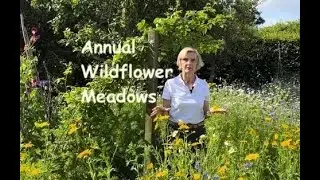 How to Create an Annual Wildflower Meadow