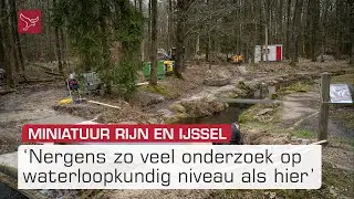 Overwoekerde onderzoeksmodellen in Waterloopbos worden gerestaureerd