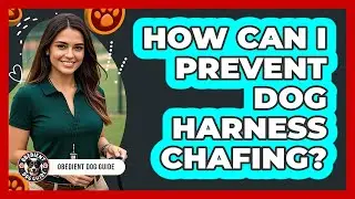 How Can I Prevent Dog Harness Chafing? - Obedient Dog Guide
