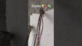 SK Electrical and Electronic