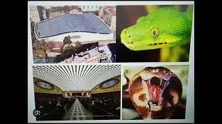 Vatican City Rome - The Pope&rsquo;s Throne Room in the Vatican! Disturbing Photo's! You Decide...