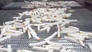 Automatic Fresh Taro Frying Production Line